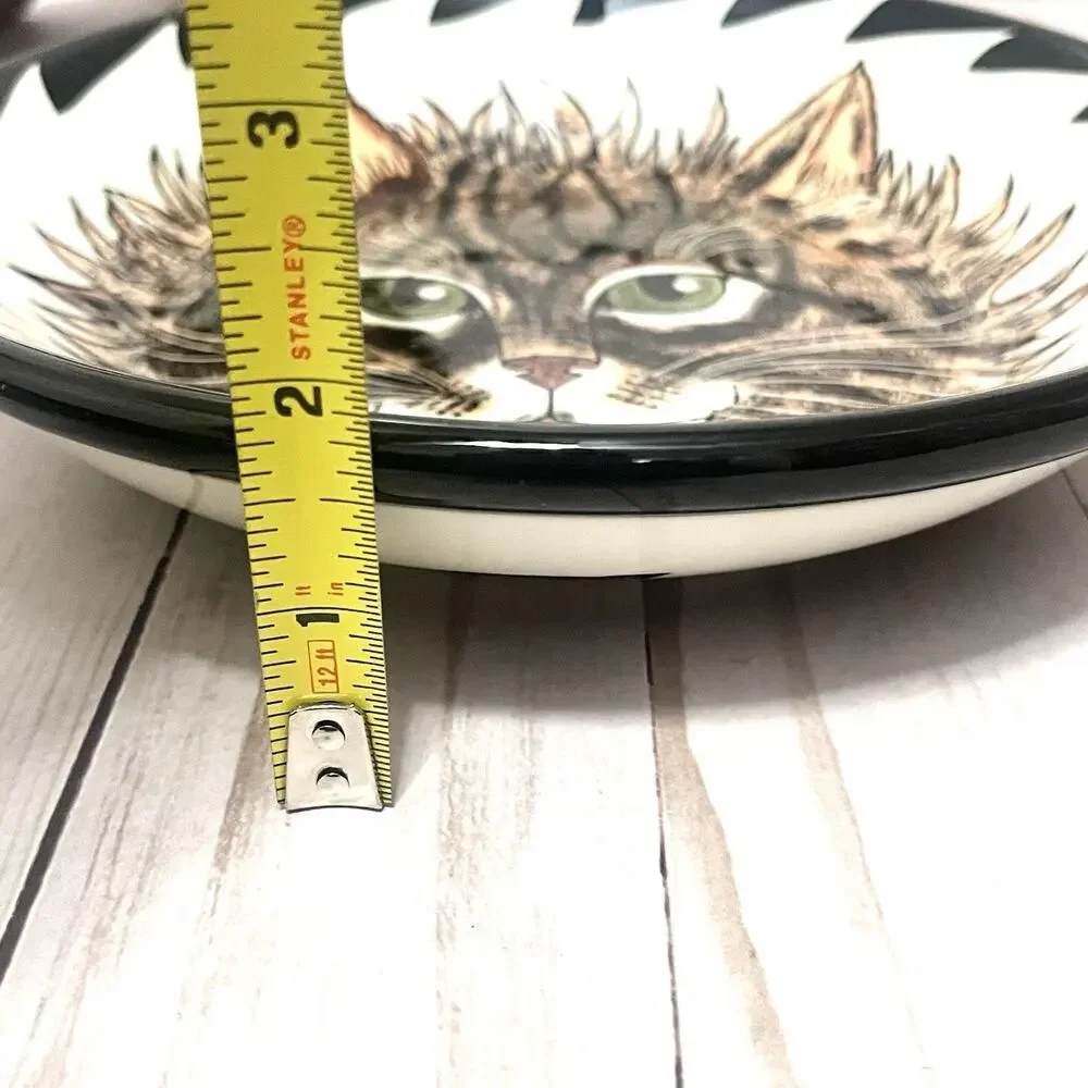 Cats By Nina Lyman Ceramic Bowl Brown Tabby Cat Green Eyes Striped Long Haired
